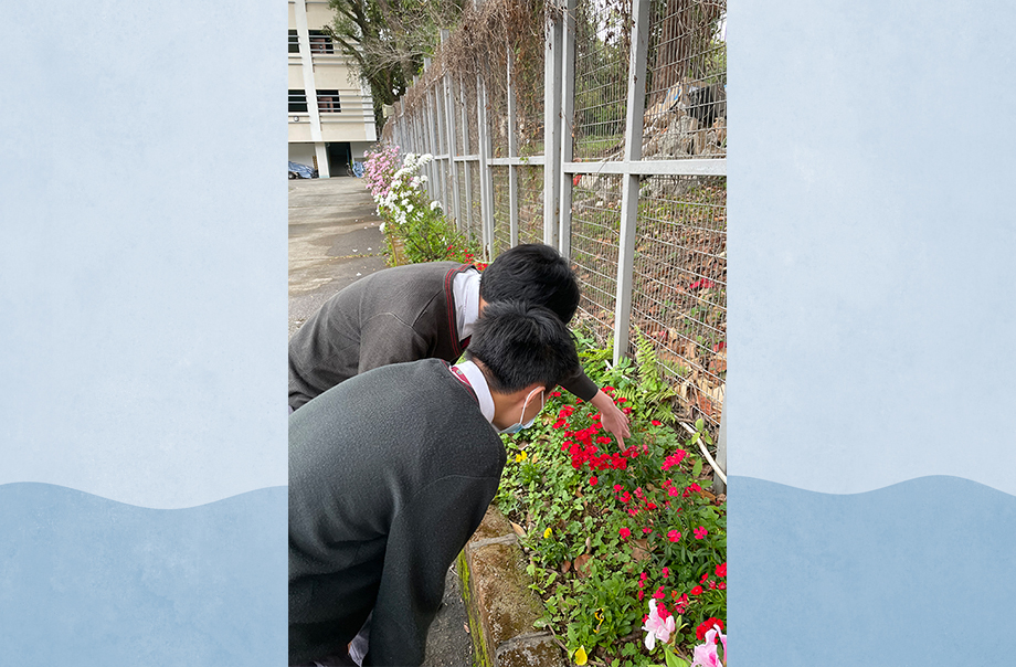 學生觀察植物生長狀況。